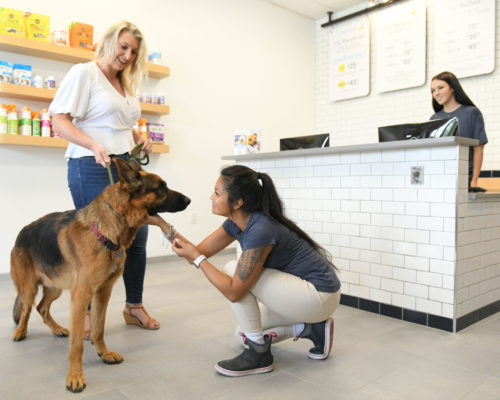 scenthound interior with customer, dog and employee Blakeney Town Center Charlotte, NC