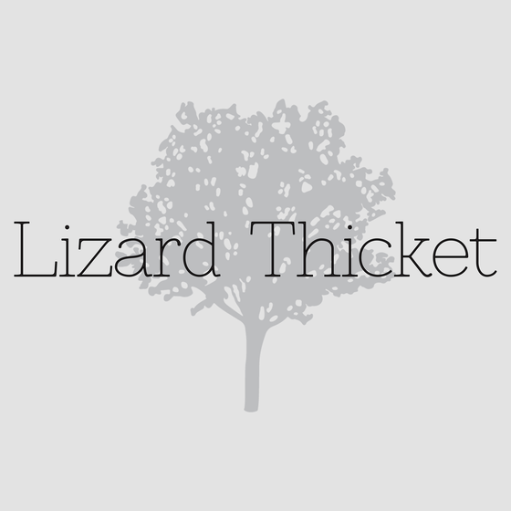 lizard-thicket Lizard Thicket logo Blakeney Town Center Charlotte, NC